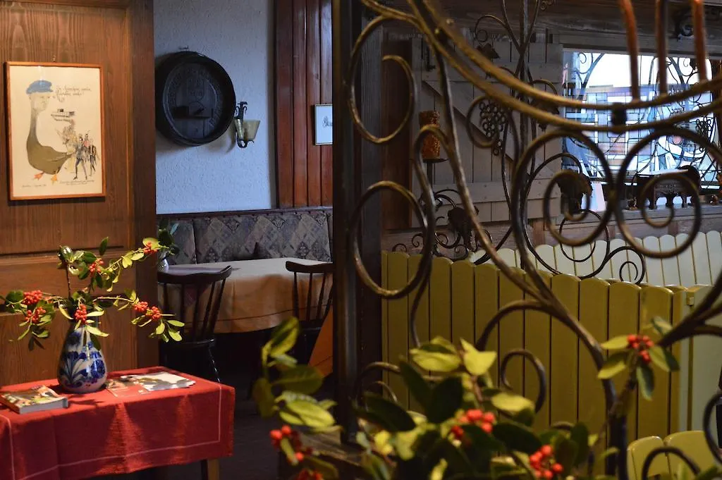 Hotel Goldene Gans 만하임 독일