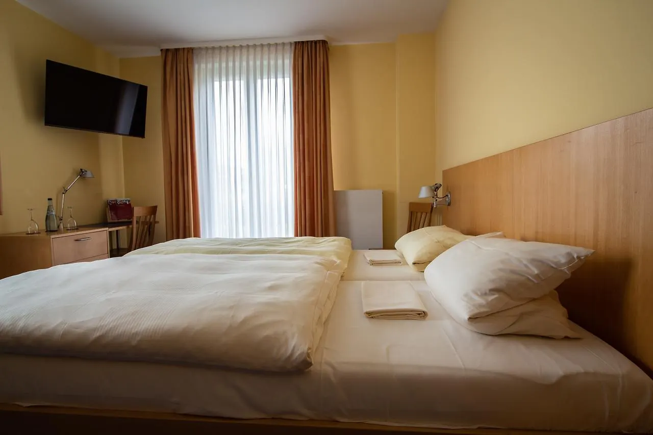 Hotel Goldene Gans 만하임 독일